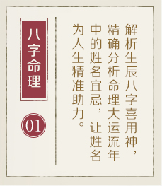醴陵起名流程一